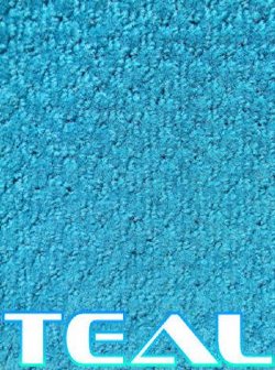 Boat Carpet sold by the foot 20oz Teal Berber